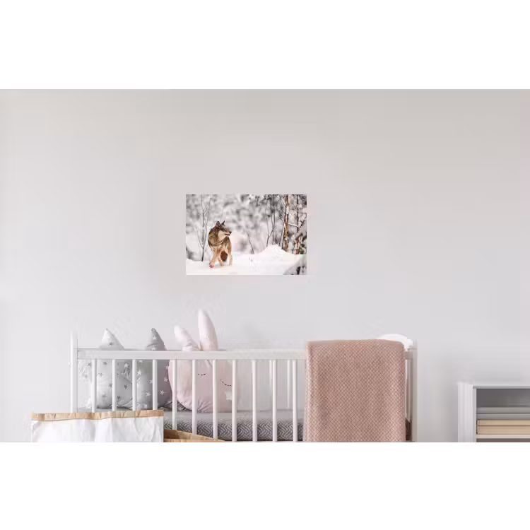 Wolf - Winter - Sneeuw - Natuur - Dieren Muursticker klein -kinderkamer