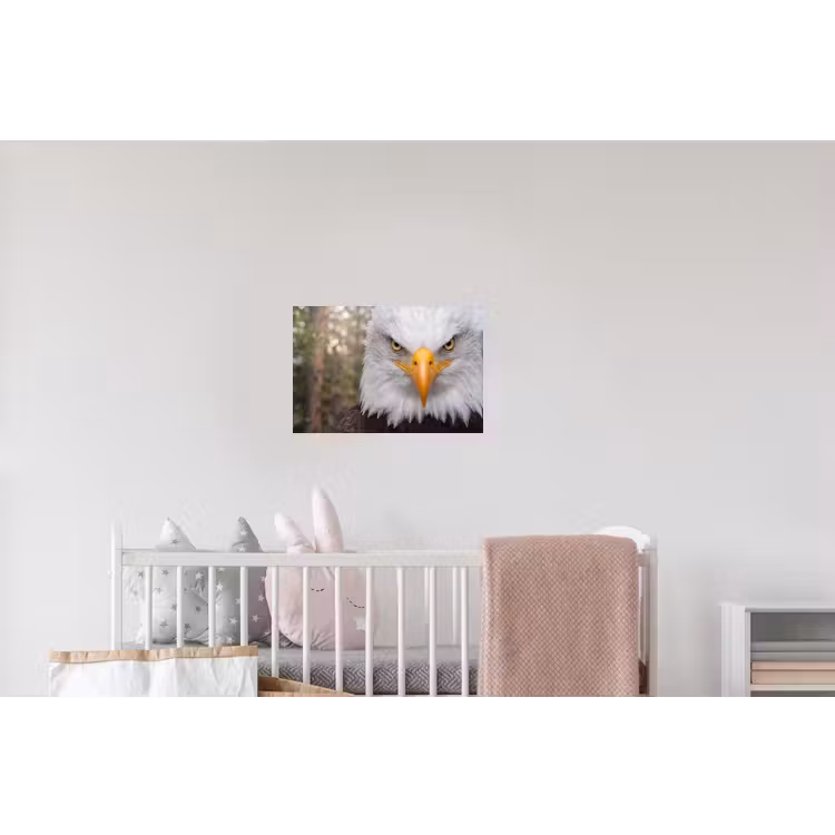 Amerikaans - Zeearend - Portret - Geel Muursticker klein -kinderkamer