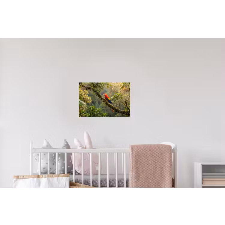 Ara - Jungle - Rood Muursticker klein -kinderkamer