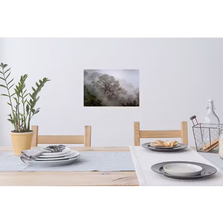 Boom - Mistig - Bos - Groen - Natuur Muursticker klein -eettafel