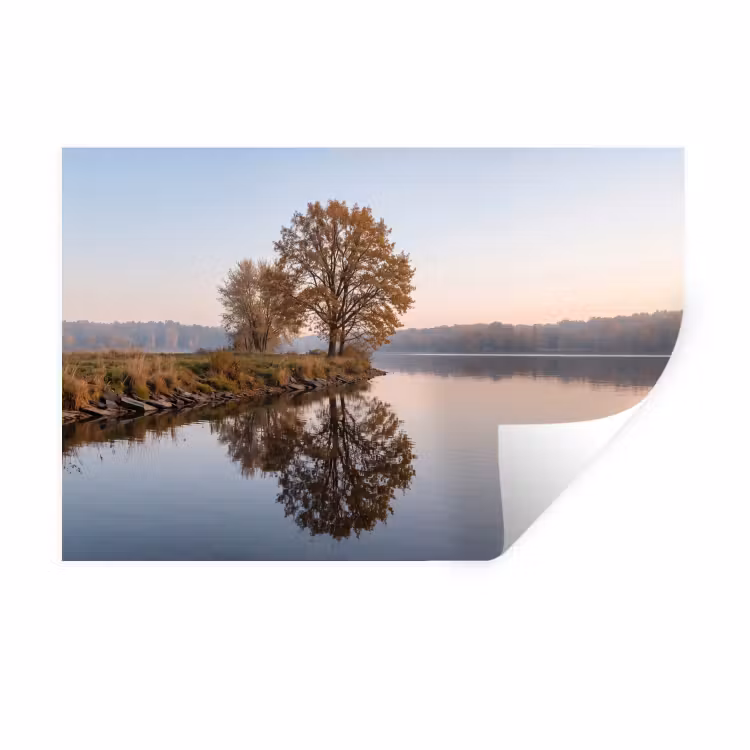 Bomen - Reflectie - Water - Zonsopgang - Serene Muursticker klein -3d
