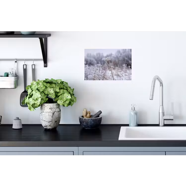 Schermbloem - Rijp - Kristallen - Winter - Delicaat Muursticker klein -keuken