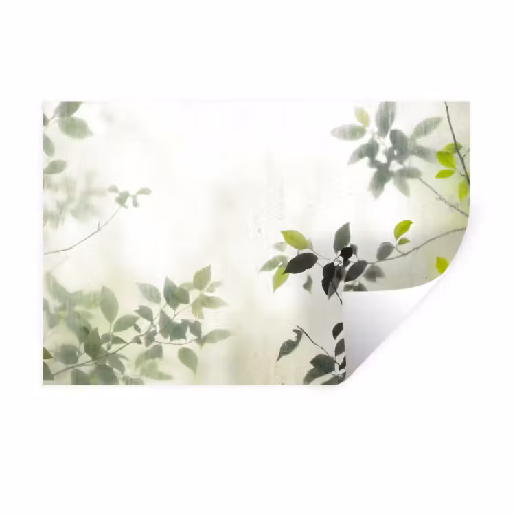 Blad - Schaduw - Natuur - Abstract - Groen Muursticker klein -3d