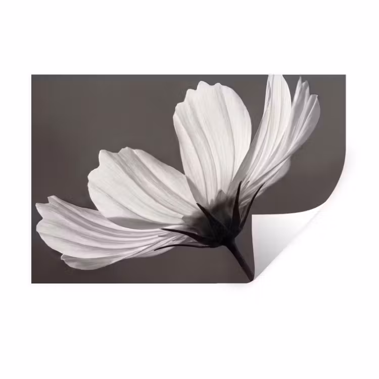 Bloem - Minimalistisch - Zwart - Wit Muursticker klein -3d