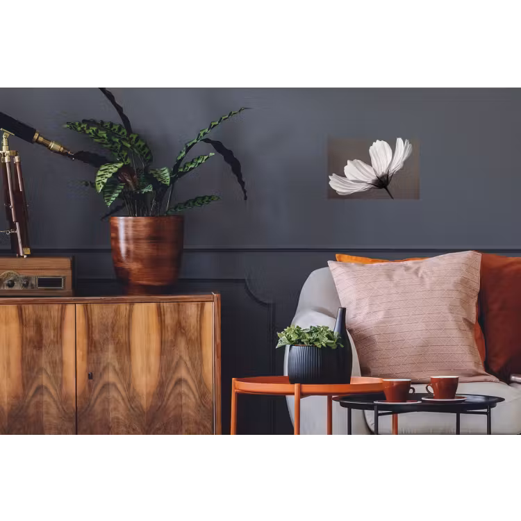 Bloem - Minimalistisch - Zwart - Wit Muursticker klein -kamerbank
