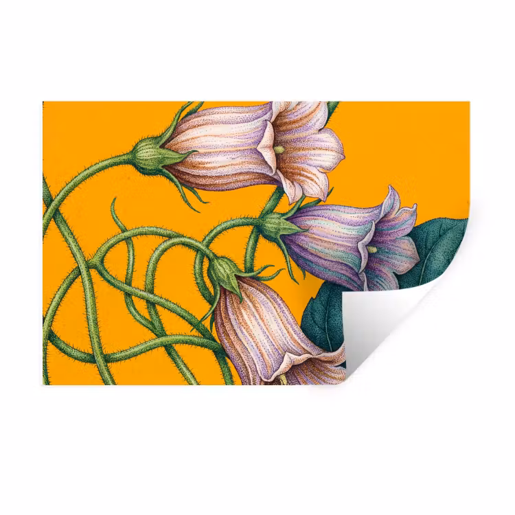 Wandtattoo – Blumen – Botanik – Gelb - Bloemen - Botanisch - Geel Muursticker klein