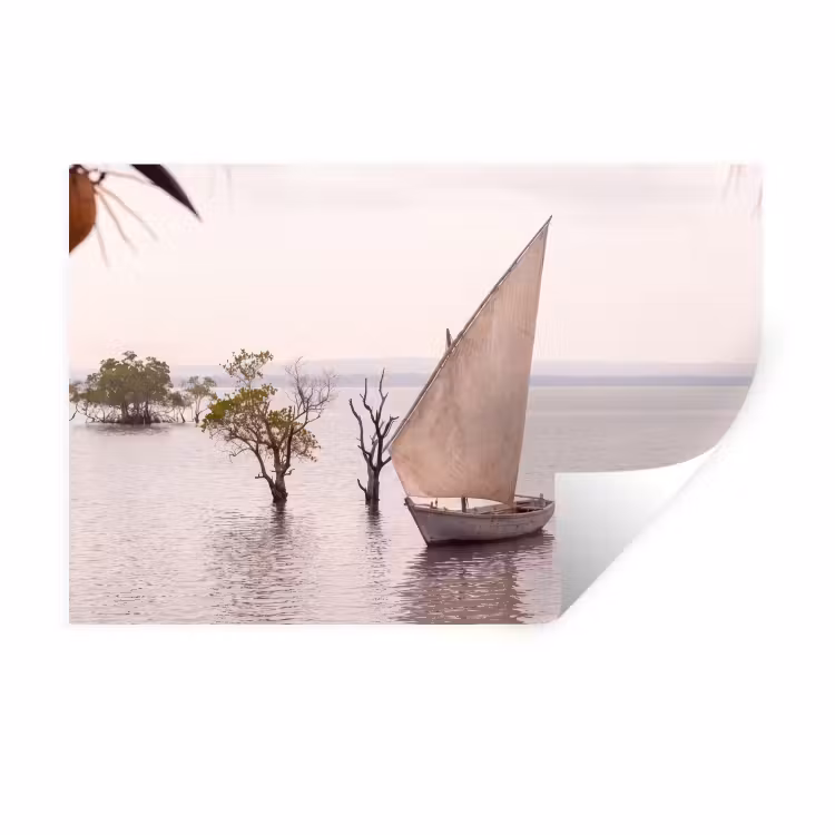 Boot - Zeil - Water - Tropisch - Natuur Muursticker klein -3d