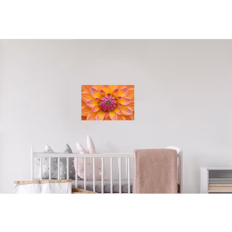 Dahlia - Bloem - Oranje Muursticker klein -kinderkamer