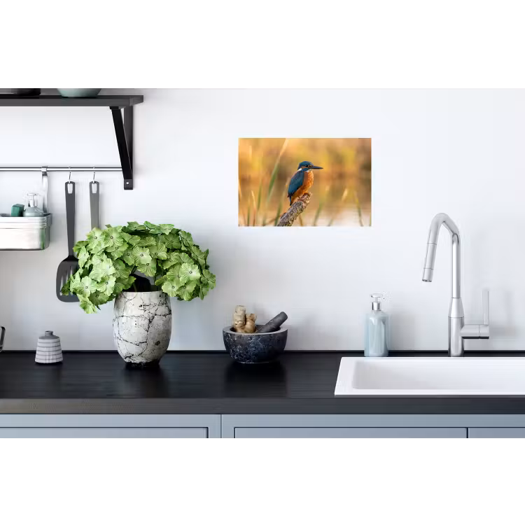 IJsvogel - Tak - Water - Kleurrijk - Levendig Muursticker klein -keuken