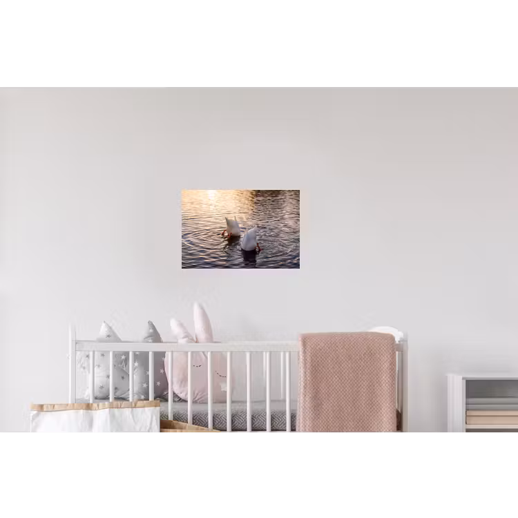 Eenden - Water - Natuur Muursticker klein -kinderkamer