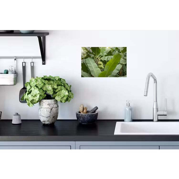 Eten - Bananen - Plantage - Groen Muursticker klein -keuken