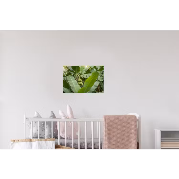 Eten - Bananen - Plantage - Groen Muursticker klein -kinderkamer