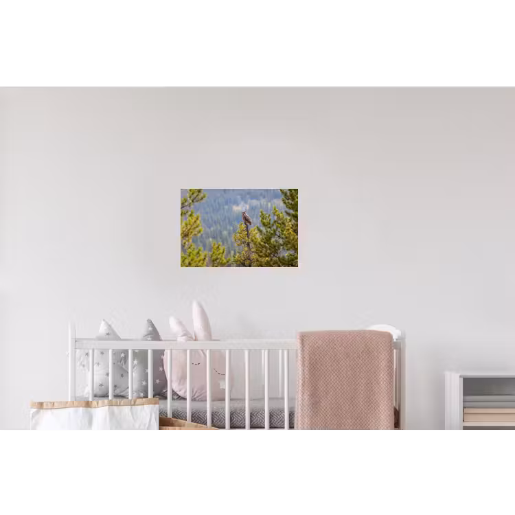 Uil - Oehoe - Bomen - Natuur Muursticker klein -kinderkamer