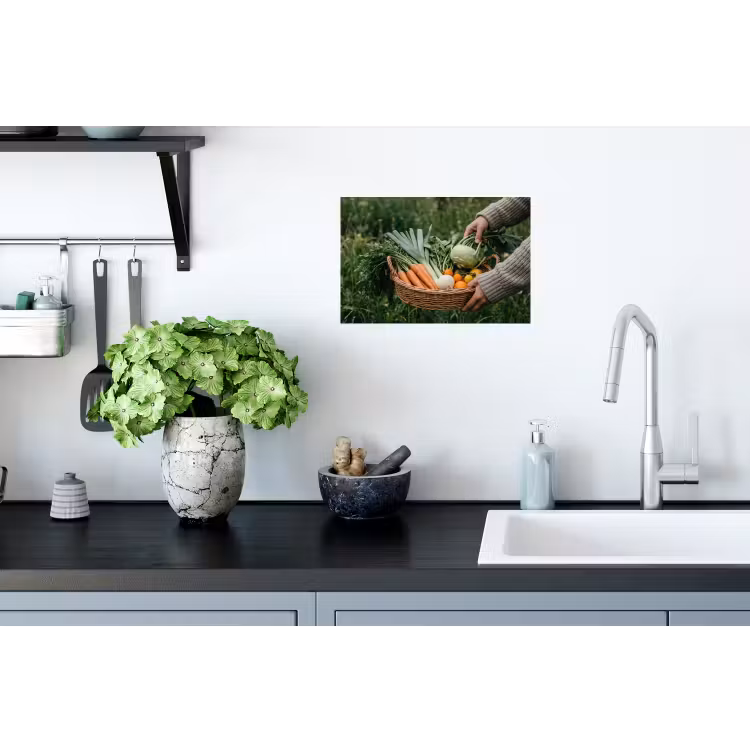 Veld - Groenten - Biologisch - Oogst Muursticker klein -keuken