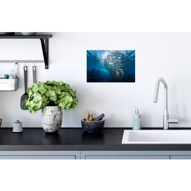 Vis - School - Oceaan - Natuur - Blauw Muursticker klein -keuken