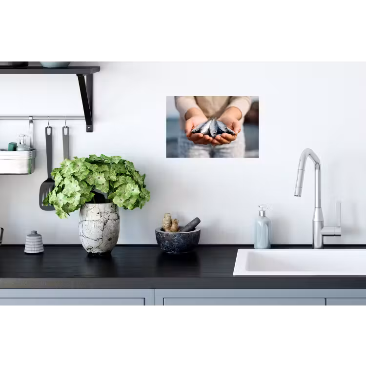 Wandtattoo – Fisch – Hände – Natur - Vis - Handen - Natuur Muursticker klein