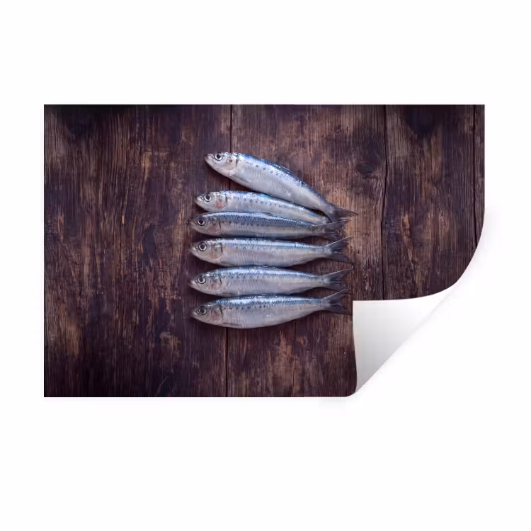 Wandtattoo – Fisch – Holz – Essen - Vis - Hout - Eten Muursticker klein