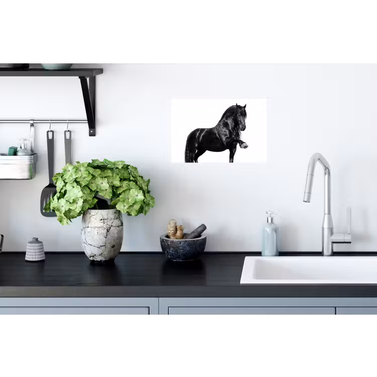 Fries - Hengst - Modern Muursticker klein -keuken