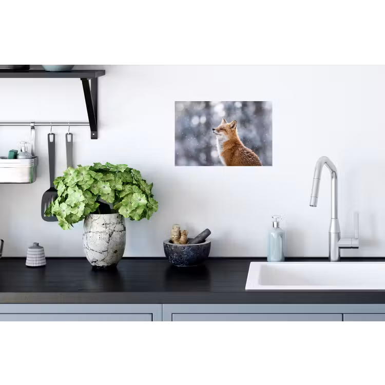 Vos - Sneeuwval - Portret - Winter - Sfeervol Muursticker klein -keuken