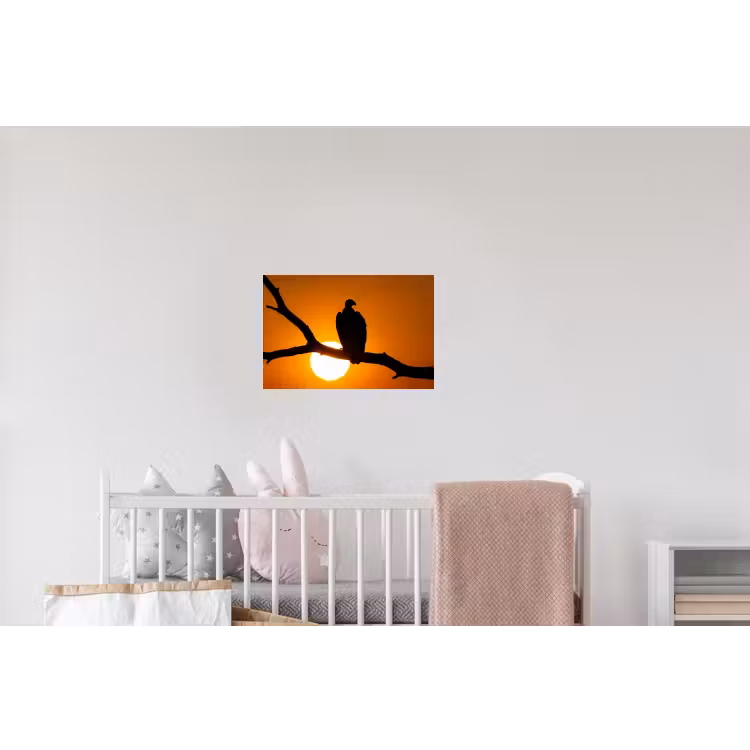 Gier - Tak - Zon - Oranje Muursticker klein -kinderkamer