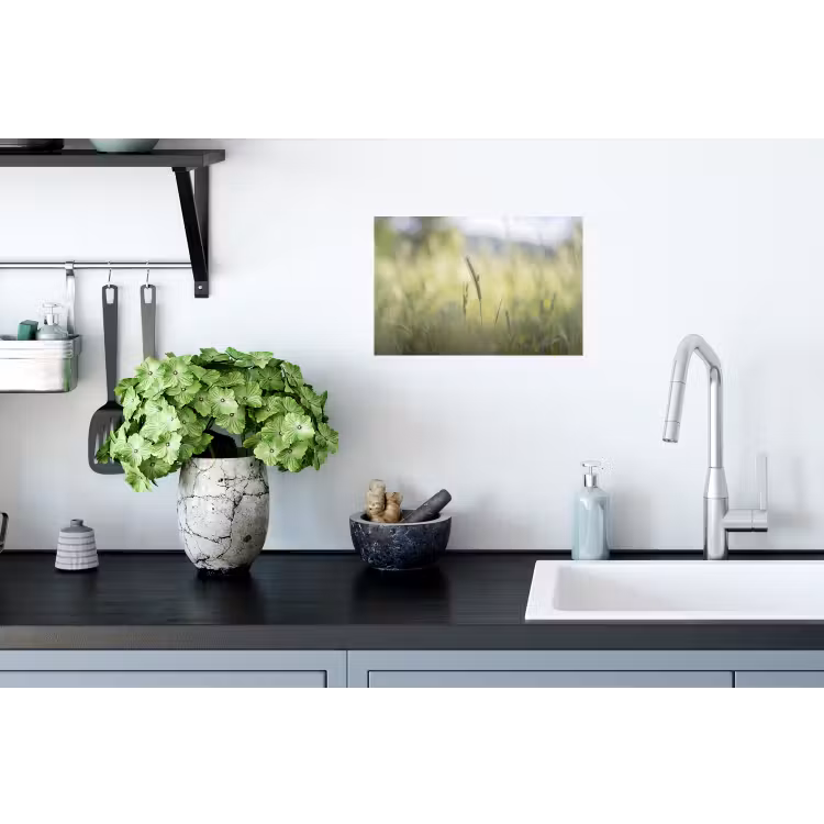 Graan - Aar - Natuur - Groen - Detail Muursticker klein -keuken