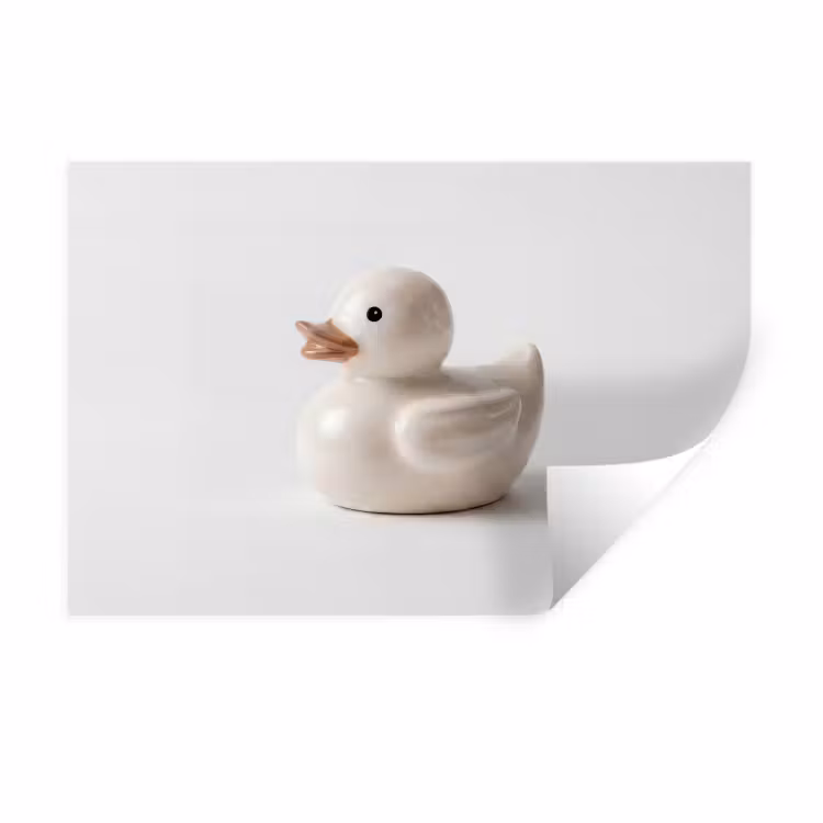 Badeend - Minimalistisch - Wit Muursticker klein -3d