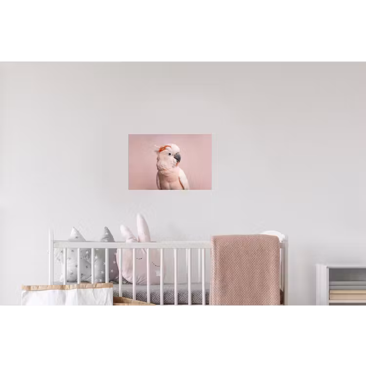 Kaketoe - Portret - Roze Muursticker klein -kinderkamer