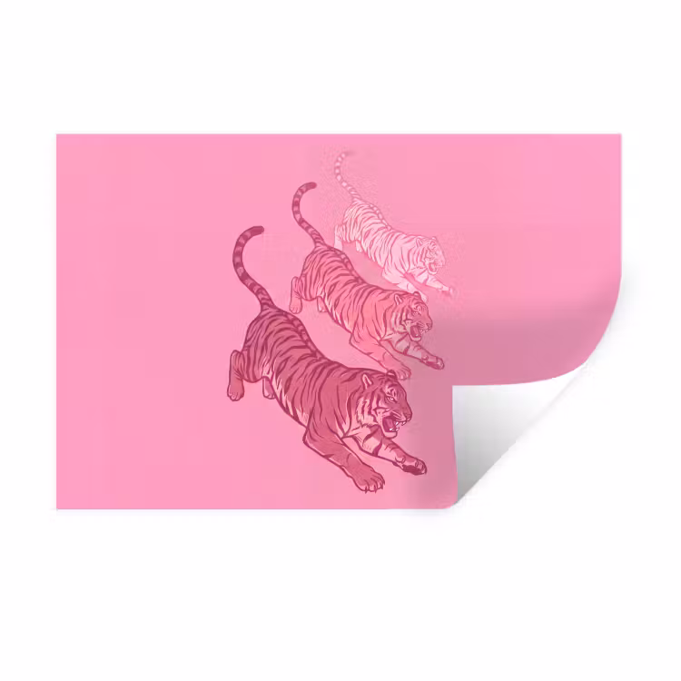 Kat - Springend - Dieren - Roze - Modern Muursticker klein -3d