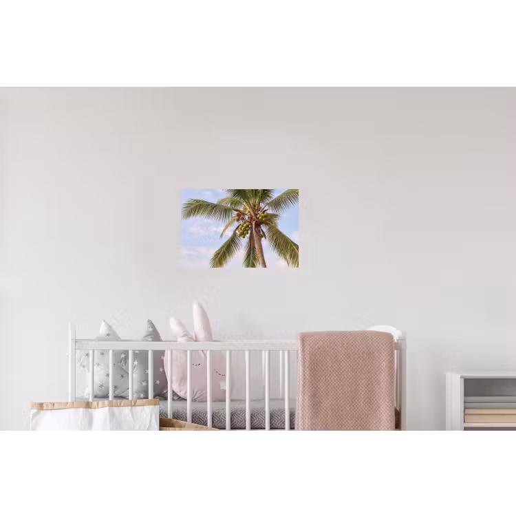 Kokosnoot - Boom - Tropisch - Natuur - Groen Muursticker klein -kinderkamer
