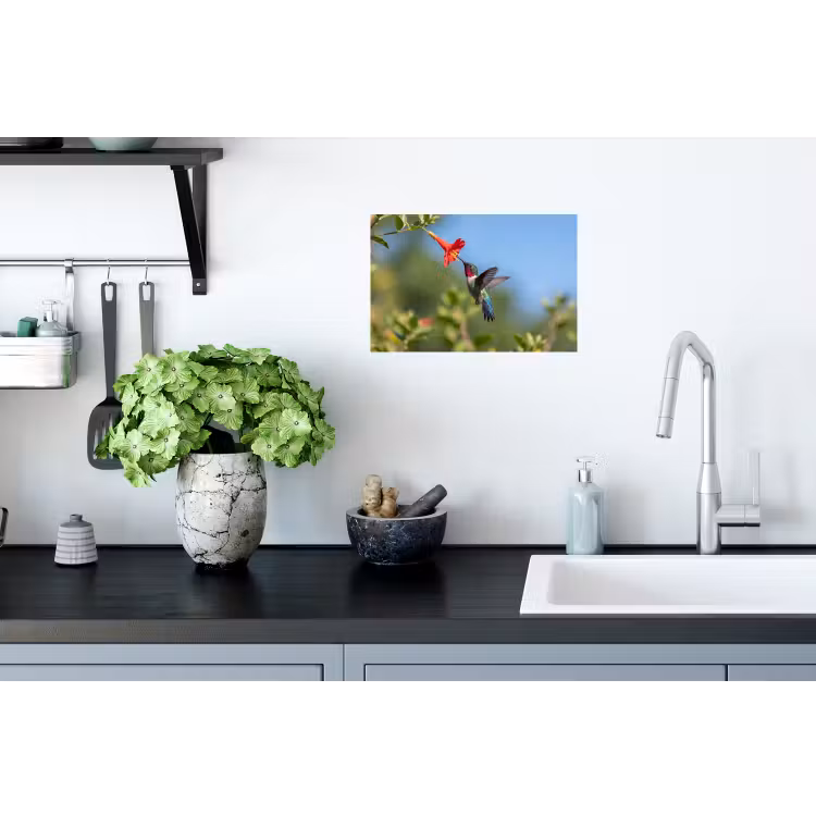 Kolibrie - Bloem - Natuur - Groen Muursticker klein -keuken