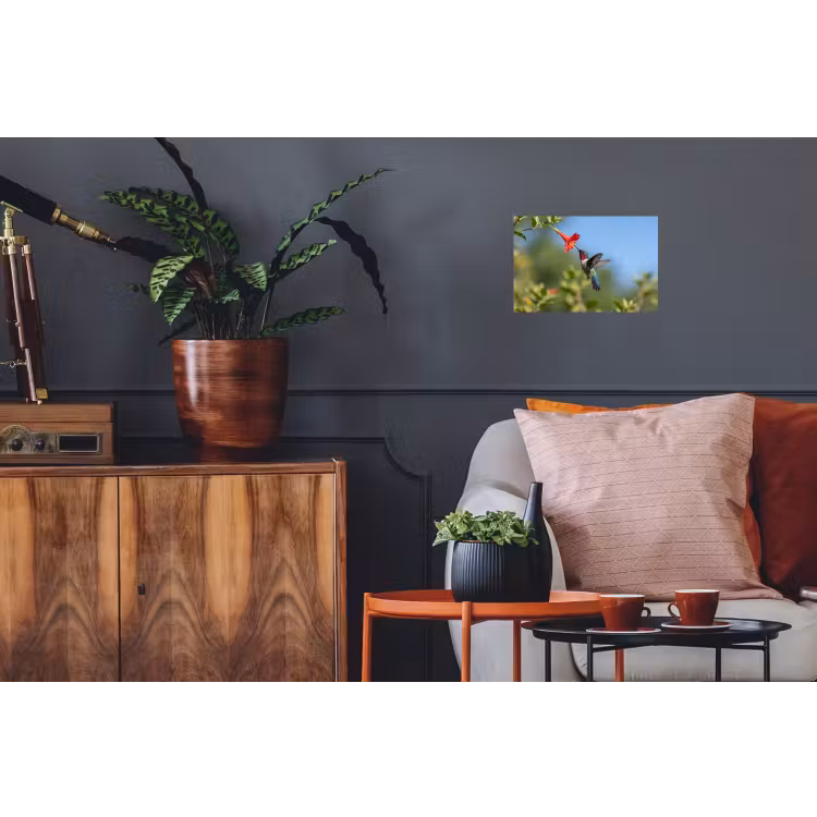 Kolibrie - Bloem - Natuur - Groen Muursticker klein -kamerbank
