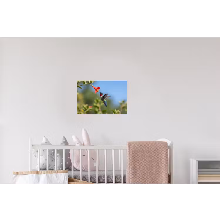 Kolibrie - Bloem - Natuur - Groen Muursticker klein -kinderkamer