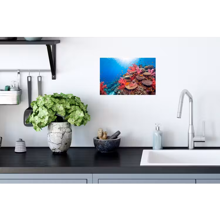 Koraalrif - Vissen - Onderwater - Tropisch - Rood Muursticker klein -keuken