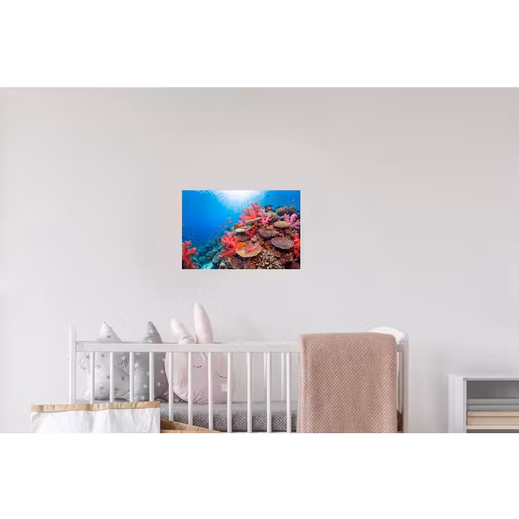 Koraalrif - Vissen - Onderwater - Tropisch - Rood Muursticker klein -kinderkamer