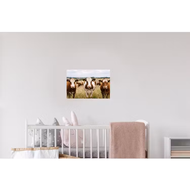 Koeien - Portret - Weide - Boerderij - Nieuwsgierig Muursticker klein -kinderkamer