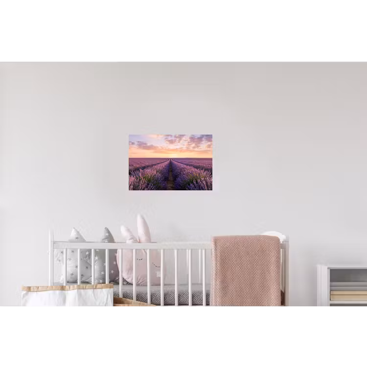 Landschap - Lavendelveld - Paars Muursticker klein -kinderkamer