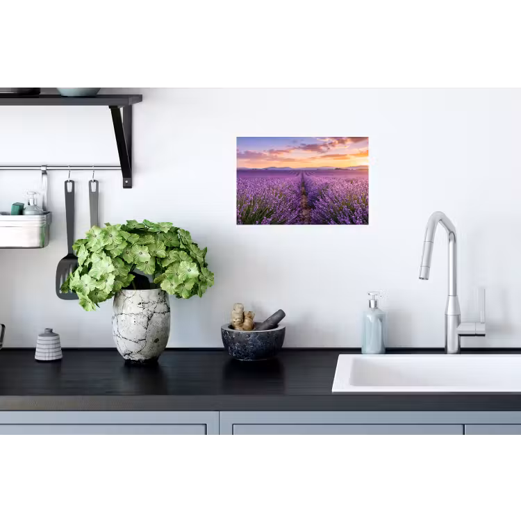 Lavendel - Veld - Natuur - Paars Muursticker klein -keuken