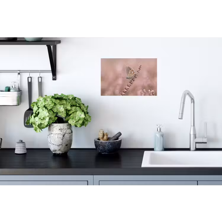 Lavendel - Vlinder - Paars Muursticker klein -keuken
