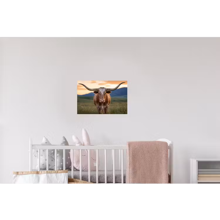 Longhorn - Landschap - Zonsondergang Muursticker klein -kinderkamer