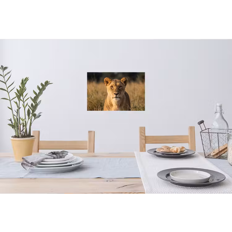 Leeuwin - Gras - Geel Muursticker klein -eettafel