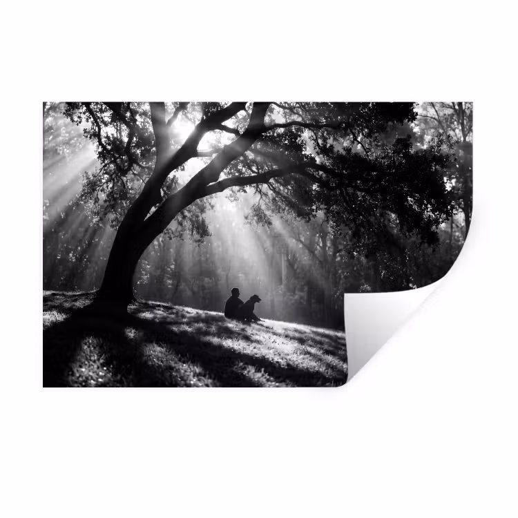 Mens - Hond - Natuur - Zwart-wit - Silhouet Muursticker klein -3d