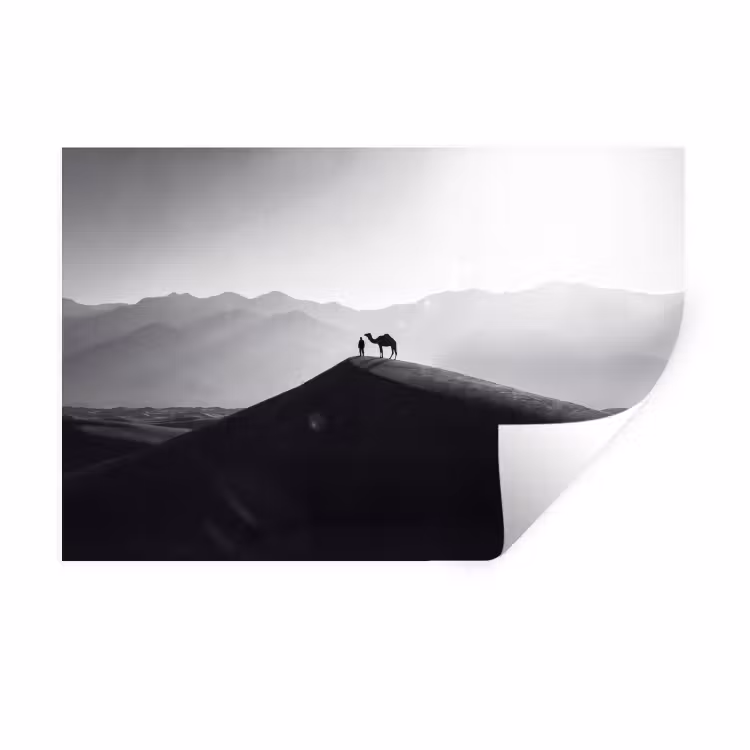 Mens - Kameel - Zandduin - Natuur - Monochroom Muursticker klein -3d