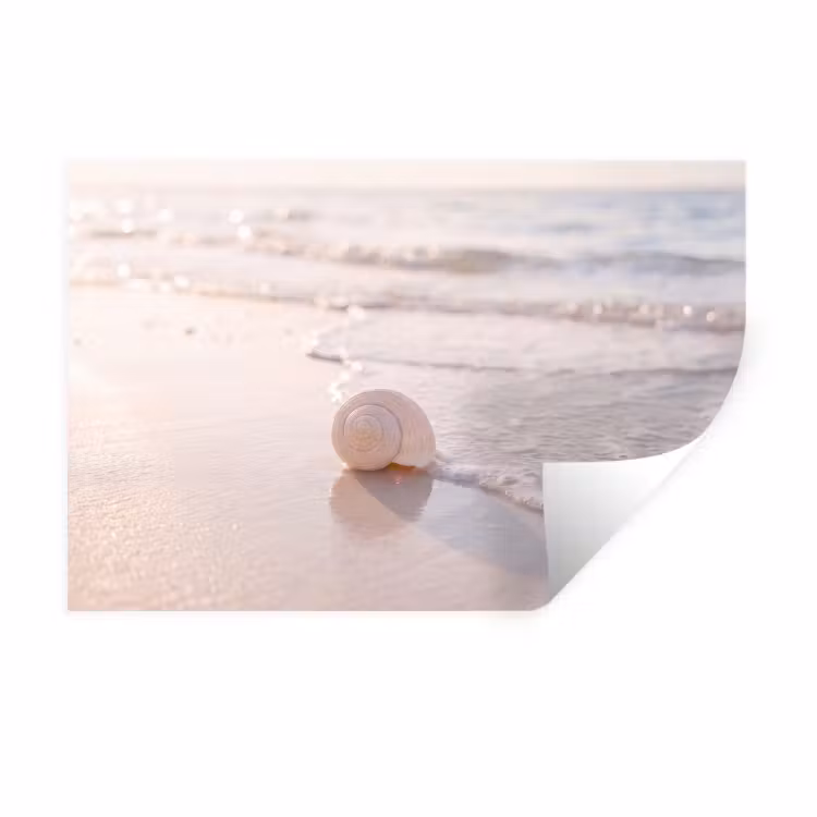Zeeschelp - Strand - Zee - Natuur - Beige Muursticker klein -3d