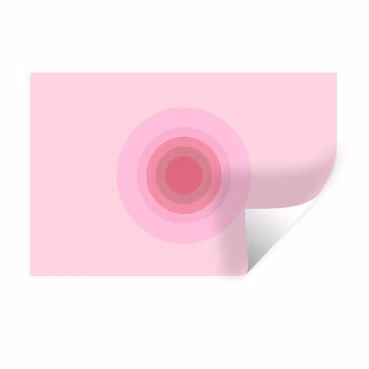 Patroon - Cirkels - Abstract - Roze - Modern Muursticker klein -3d