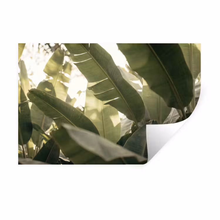 Natuur - Bladeren - Groen - Tropisch - Detail Muursticker klein -3d