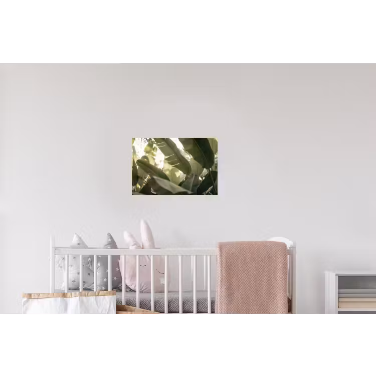 Natuur - Bladeren - Groen - Tropisch - Detail Muursticker klein -kinderkamer