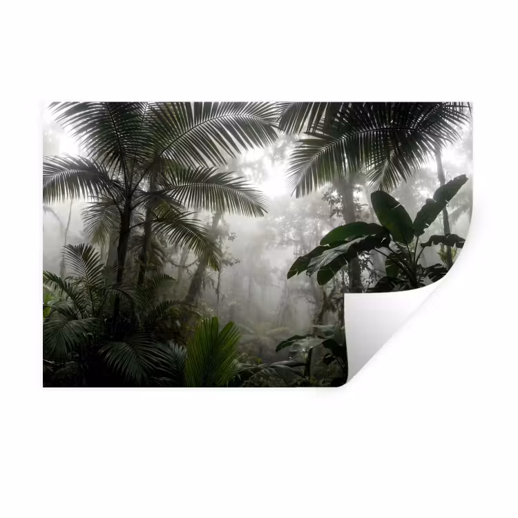 Natuur - Jungle - Mist - Groen - Bladeren Muursticker klein -3d