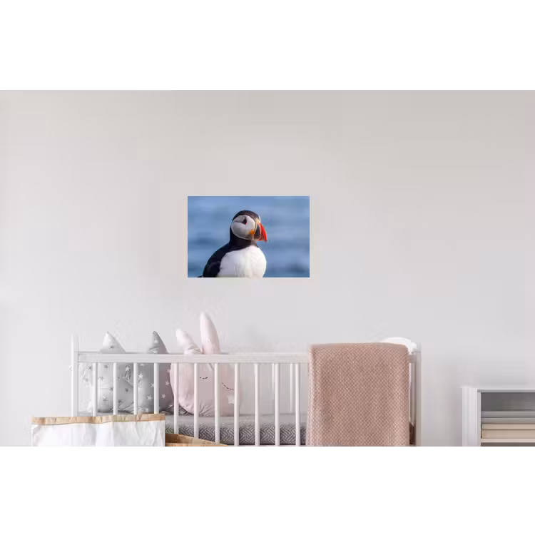 Papegaaiduiker - Portret - Natuur Muursticker klein -kinderkamer