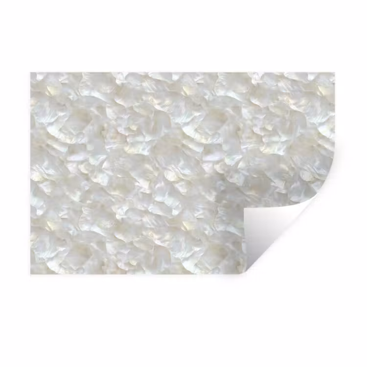Parelmoerglans - Wit - Schelp Muursticker klein 286 -3d