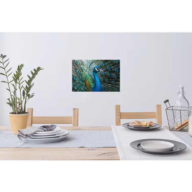Pauw - Veren - Blauw Muursticker klein -eettafel